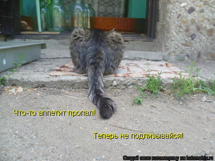 Что-то аппетит пропал! Теперь не подлизывайся!... Котоматрица: Что-то аппетит пропал! Теперь не подлизывайся!