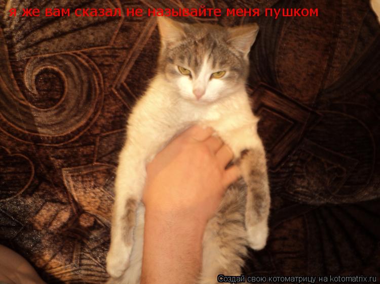 я же вам сказал не называйте меня пушком... Котоматрица: я же вам сказал не называйте меня пушком