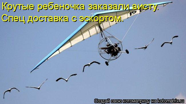 Крутые ребеночка заказали аисту. Спец доставка с эскортом.... Котоматрица: Крутые ребеночка заказали аисту. Спец доставка с эскортом.