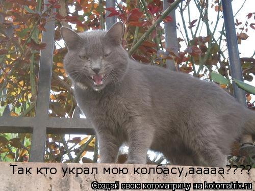 Так кто украл мою колбасу,ааааа????... Котоматрица: Так кто украл мою колбасу,ааааа????