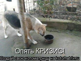 Опять КРИЗИС!... Котоматрица: Опять КРИЗИС!