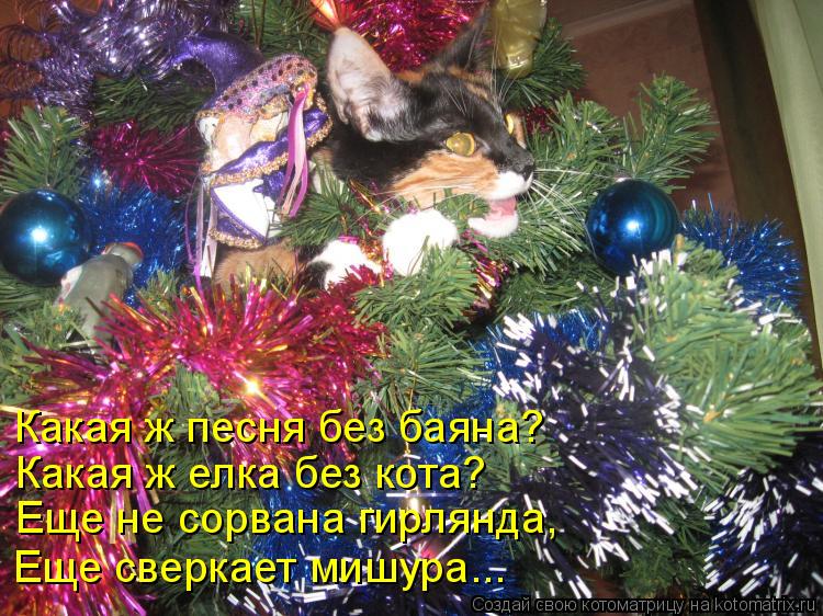 Котоматрица - Какая ж песня без баяна? Какая ж елка без кота? Еще не сорвана гирлянд