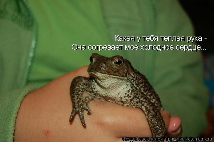 Какая у тебя теплая рука - Она согревает моё холодное сердце...... Котоматрица: Какая у тебя теплая рука - Она согревает моё холодное сердце...