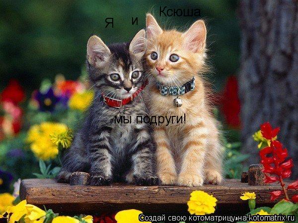 Я Ксюша и мы подруги!... Котоматрица: Я Ксюша и мы подруги!