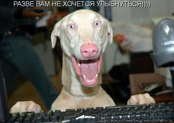 РАЗВЕ ВАМ НЕ ХОЧЕТСЯ УЛЫБНУТЬСЯ))))... Котоматрица: РАЗВЕ ВАМ НЕ ХОЧЕТСЯ УЛЫБНУТЬСЯ))))
