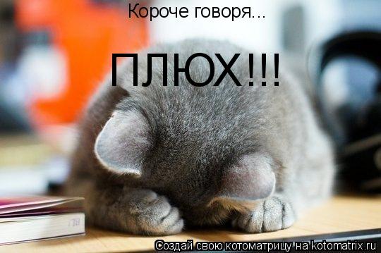 Котоматрица: Короче говоря... ПЛЮХ!!!