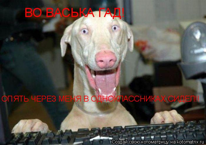 ВО ВАСЬКА ГАД! ОПЯТЬ ЧЕРЕЗ МЕНЯ В ОДНОКЛАССНИКАХ СИДЕЛ!!... Котоматрица: ВО ВАСЬКА ГАД! ОПЯТЬ ЧЕРЕЗ МЕНЯ В ОДНОКЛАССНИКАХ СИДЕЛ!!