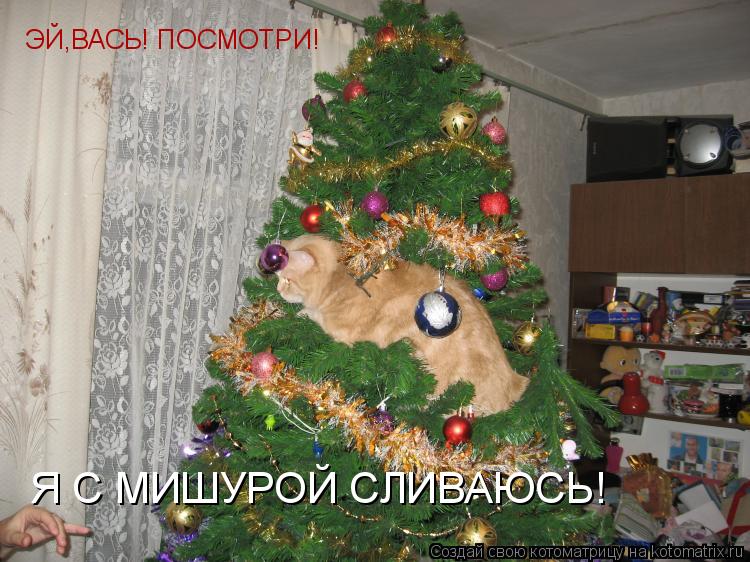 ЭЙ,ВАСЬ! ПОСМОТРИ! Я С МИШУРОЙ СЛИВАЮСЬ!... Котоматрица: ЭЙ,ВАСЬ! ПОСМОТРИ! Я С МИШУРОЙ СЛИВАЮСЬ!