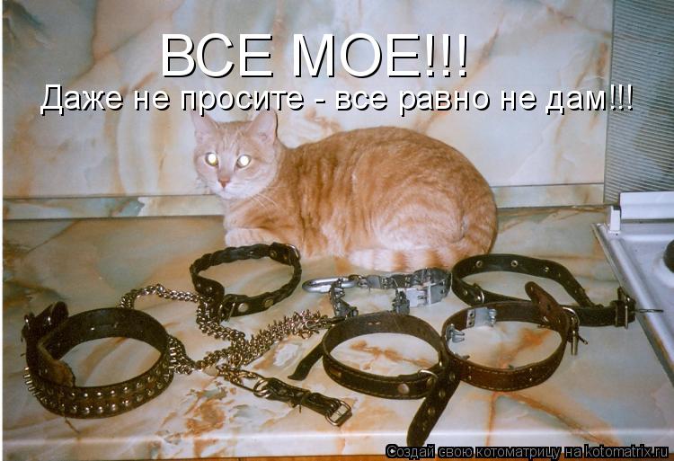 Котоматрица: ВСЕ МОЕ!!! Даже не просите - все равно не дам!!!