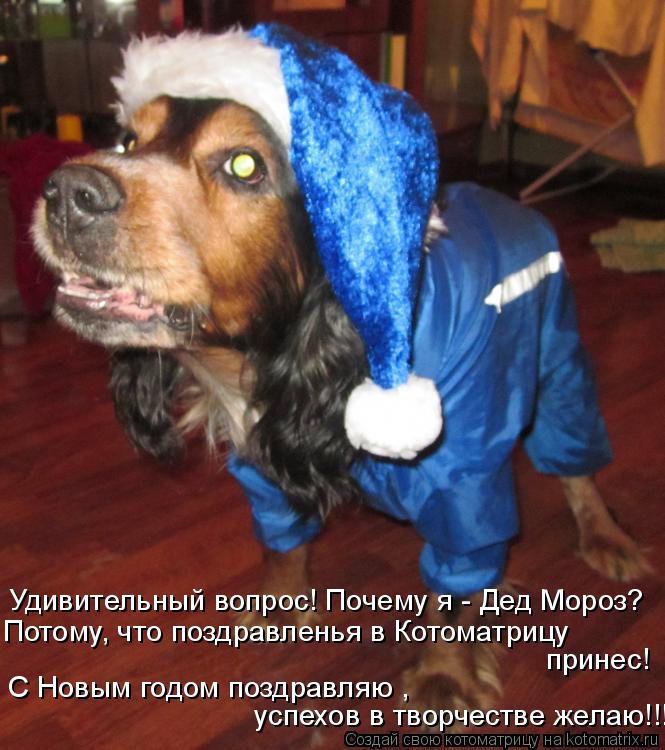 Удивительный вопрос! Почему я - Дед Мороз? Потому, что поздравленья в Котоматрицу принес! С Новым год... Котоматрица: Удивительный вопрос! Почему я - Дед Мороз? Потому, что поздравленья в Котоматрицу принес! С Новым годом поздравляю , успехов в творчестве же