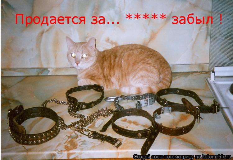 Котоматрица: Продается за... ***** забыл !