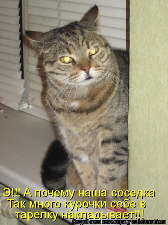 тарелку накладывает!!! Так много курочки себе в Э!!! А почему наша соседка... Котоматрица: тарелку накладывает!!! Так много курочки себе в Э!!! А почему наша соседка
