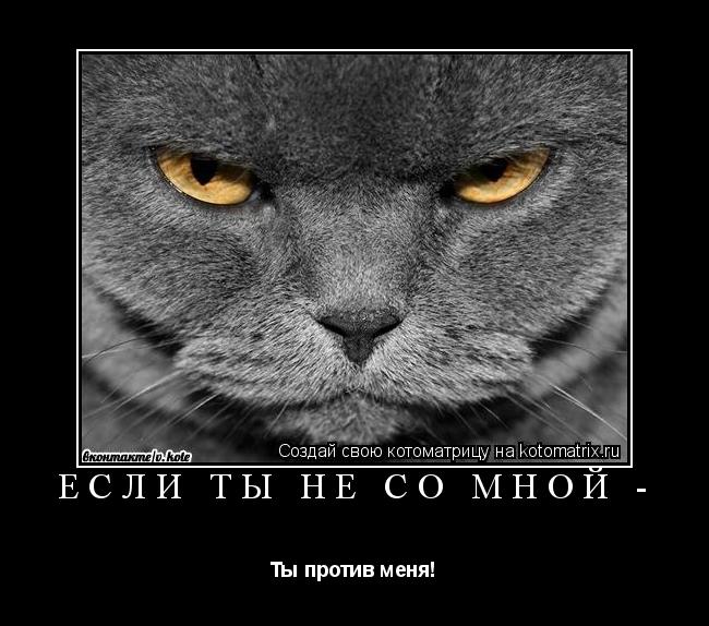 Если ты не со мной - Ты против меня!... Котоматрица: Если ты не со мной - Ты против меня!