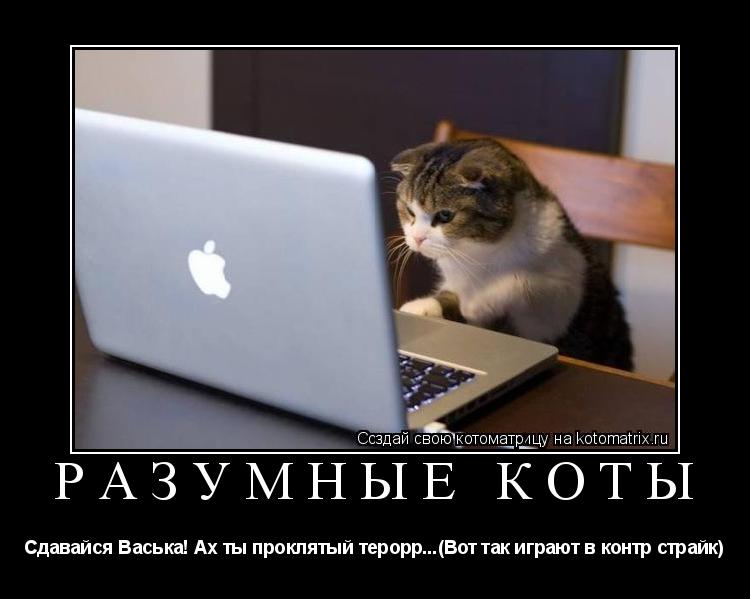 Котоматрица: РАЗУМНЫЕ КОТЫ Сдавайся Васька! Ах ты проклятый терорр...(Вот так играют в контр страйк)