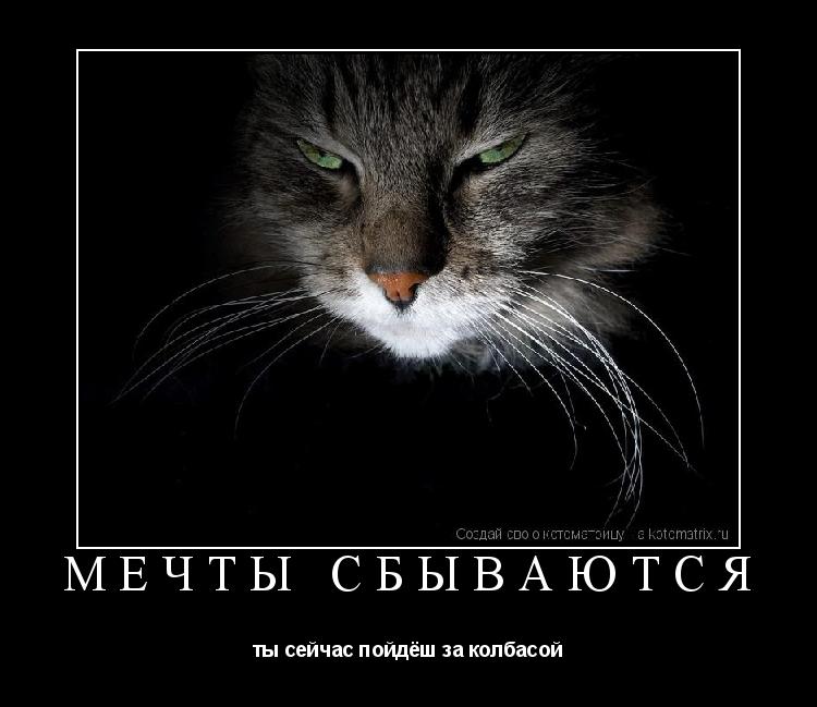 мечты сбываются ты сейчас пойдёш за колбасой... Котоматрица: мечты сбываются ты сейчас пойдёш за колбасой