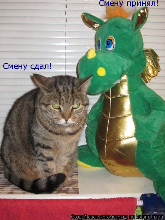 Смену принял! Смену сдал!... Котоматрица: Смену принял! Смену сдал!