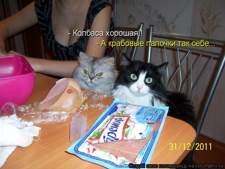 Котоматрица: - А крабовые палочки так себе... - Колбаса хорошая!!