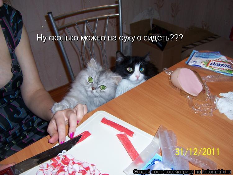 Ну сколько можно на сухую сидеть???... Котоматрица: Ну сколько можно на сухую сидеть???