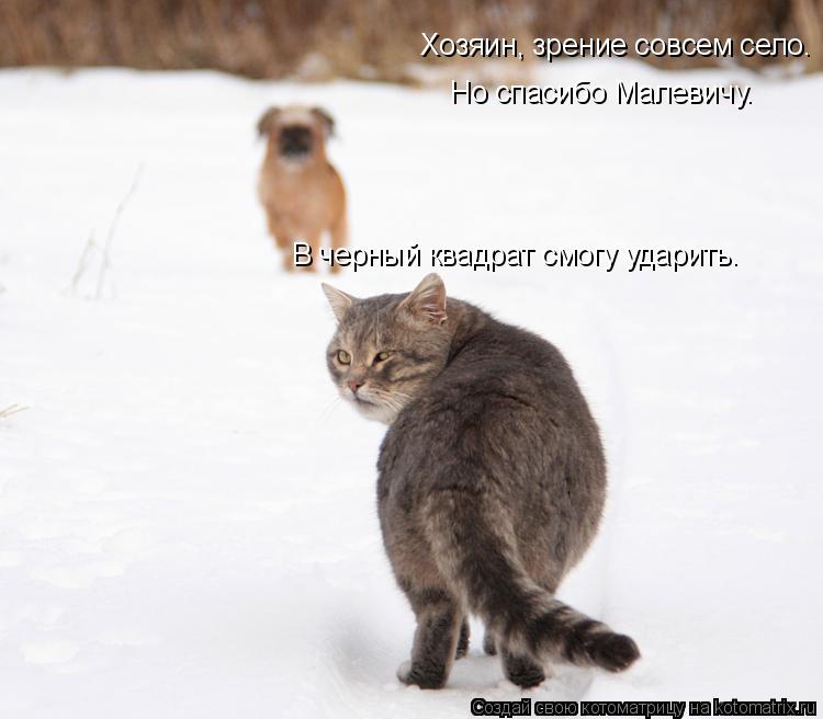 Хозяин, зрение совсем село. Но спасибо Малевичу. В черный квадрат смогу ударить.... Котоматрица: Хозяин, зрение совсем село. Но спасибо Малевичу. В черный квадрат смогу ударить.