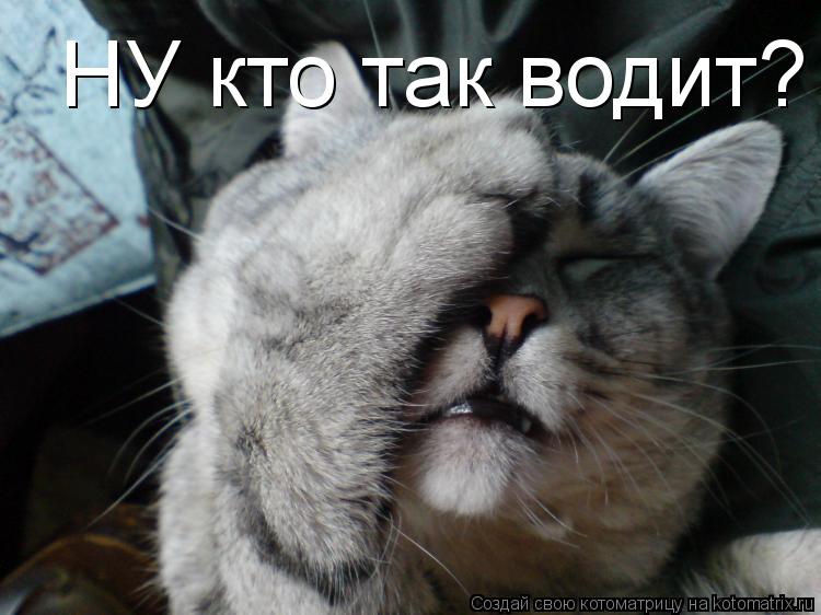 Котоматрица: НУ кто так водит?