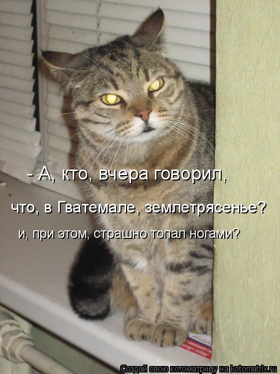 Котоматрица: - А, кто, вчера говорил, что, в Гватемале, землетрясенье? и, при этом, страшно топал ногами?
