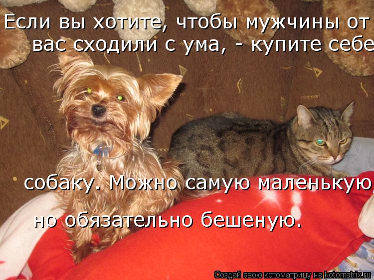 Как сделать чтобы парень сошел с ума от меня Как сделать чтобы парень сошел с ума от меня