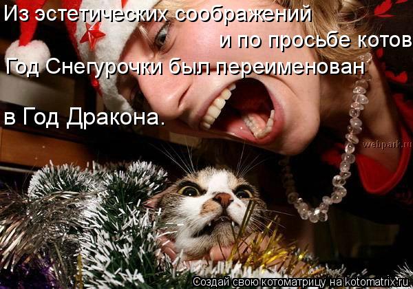 в Год Дракона. Из эстетических соображений и по просьбе котов Год Снегурочки был переименован... Котоматрица: в Год Дракона. Из эстетических соображений и по просьбе котов Год Снегурочки был переименован