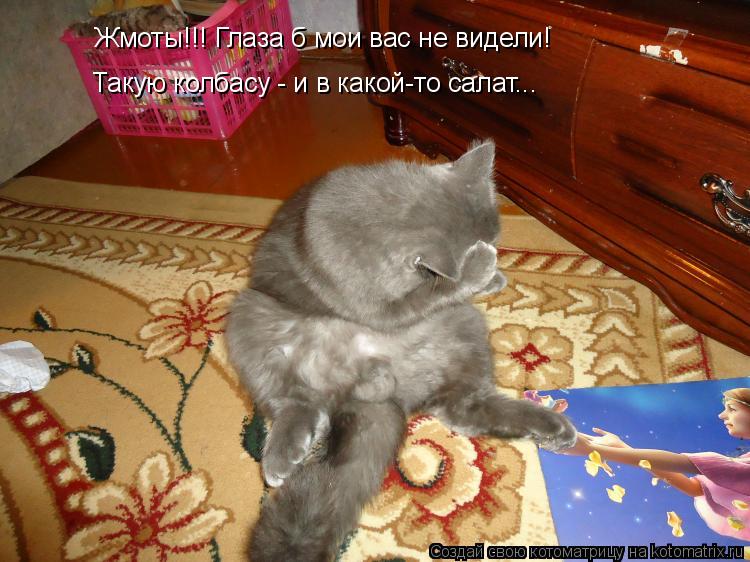 Жмоты!!! Глаза б мои вас не видели! Такую колбасу - и в какой-то салат...... Котоматрица: Жмоты!!! Глаза б мои вас не видели! Такую колбасу - и в какой-то салат...