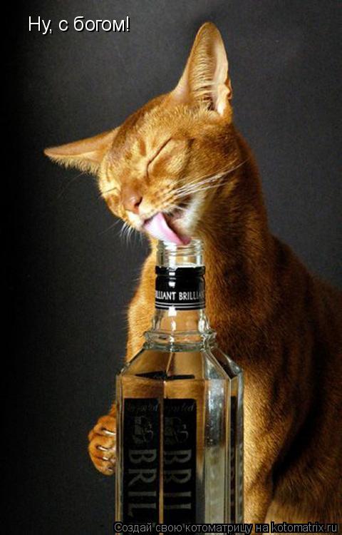 Ну, с богом!... Котоматрица: Ну, с богом!