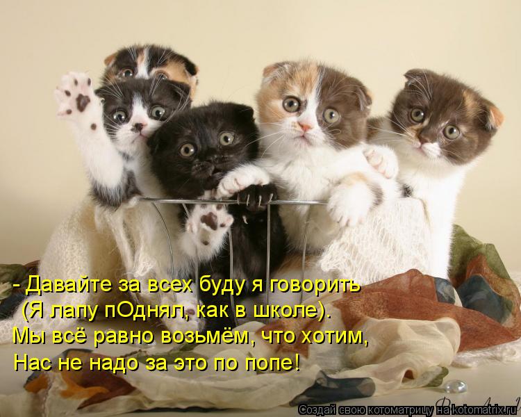 - Давайте за всех буду я говорить (Я лапу пОднял, как в школе). Мы всё равно возьмём, что хотим, Нас ... Котоматрица: - Давайте за всех буду я говорить (Я лапу пОднял, как в школе). Мы всё равно возьмём, что хотим, Нас не надо за это по попе!