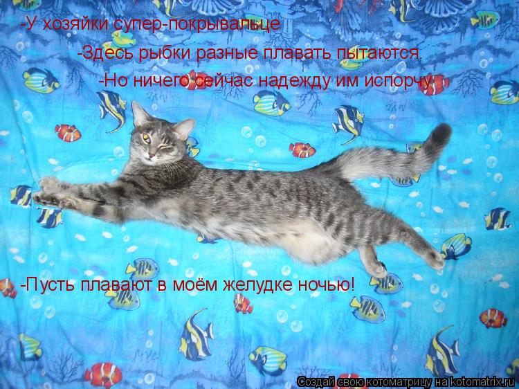 -У хозяйки супер-покрывальце -Здесь рыбки разные плавать пытаются. -Но ничего сейчас надежду им испор... Котоматрица: -У хозяйки супер-покрывальце -Здесь рыбки разные плавать пытаются. -Но ничего сейчас надежду им испорчу -Пусть плавают в моём желудке ночью!