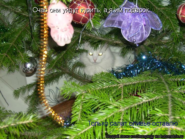 Котоматрица: Счас они уйдут курить, а я им подарок... Только салат оливье оставлю