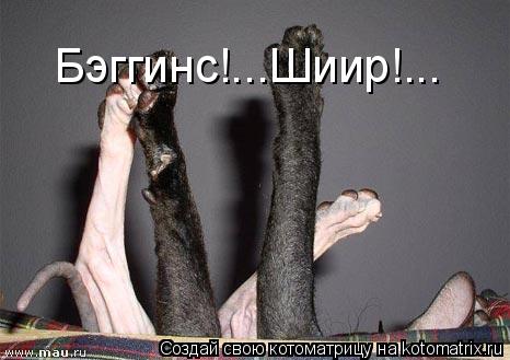 Бэггинс!...Шиир!...... Котоматрица: Бэггинс!...Шиир!...