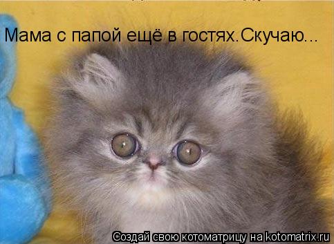 Котоматрица: Мама с папой ещё в гостях.Скучаю...
