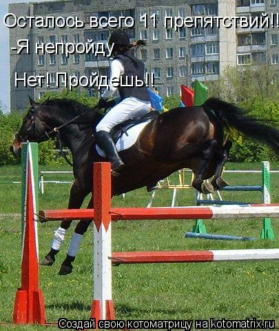 Котоматрица: Осталось всего 11 препятствий!! -Я непройду Нет! Пройдешь!!