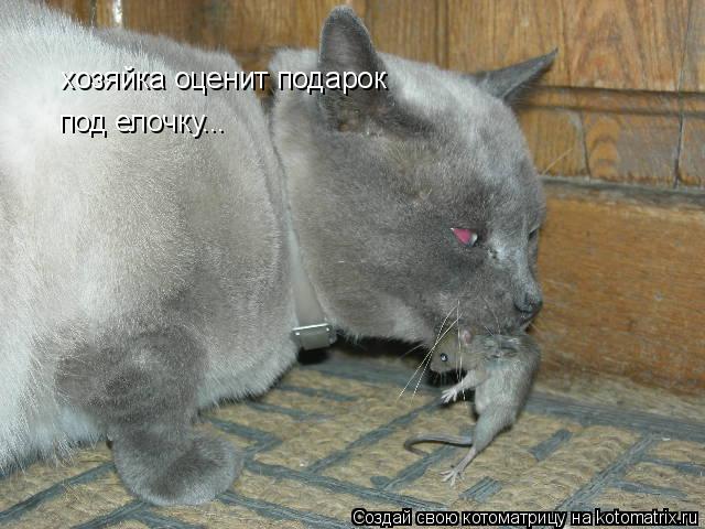 хозяйка оценит подарок под елочку...... Котоматрица: хозяйка оценит подарок под елочку...