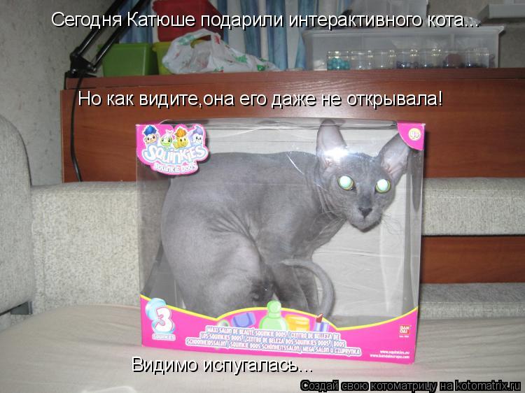 Сегодня Катюше подарили интерактивного кота... Но как видите,она его даже не открывала! Видимо испуга... Котоматрица: Сегодня Катюше подарили интерактивного кота... Но как видите,она его даже не открывала! Видимо испугалась...