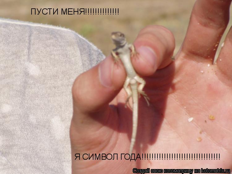 ПУСТИ МЕНЯ!!!!!!!!!!!!!! Я СИМВОЛ ГОДА!!!!!!!!!!!!!!!!!!!!!!!!!!!!!!!!... Котоматрица: ПУСТИ МЕНЯ!!!!!!!!!!!!!! Я СИМВОЛ ГОДА!!!!!!!!!!!!!!!!!!!!!!!!!!!!!!!!