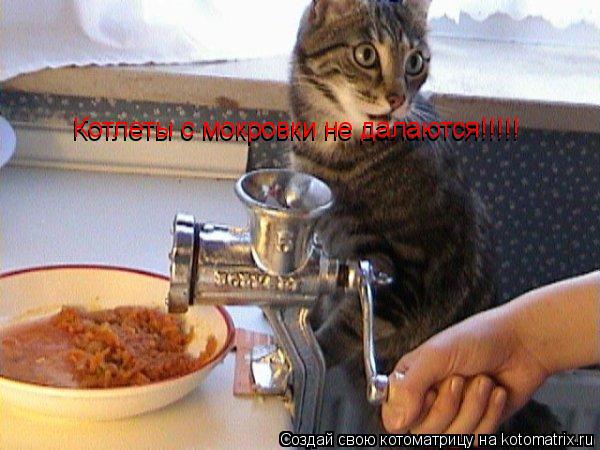 Котоматрица: Котлеты с мокровки не далаются!!!!! Котлеты с мокровки не далаются!!!!!