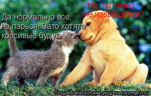Котоматрица: Не, ты точно  не извращенка? Да нормально все, не парься. Зато котята красивые будут...