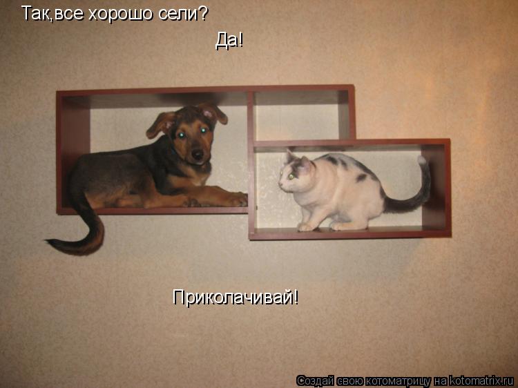 Так,все хорошо сели? Да! Приколачивай!... Котоматрица: Так,все хорошо сели? Да! Приколачивай!