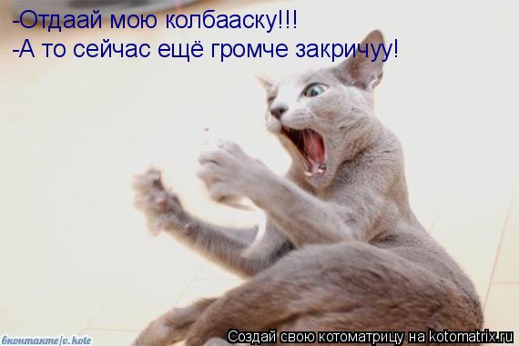 Котоматрица: -Отдаай мою колбааску!!!  -А то сейчас ещё громче закричуу!