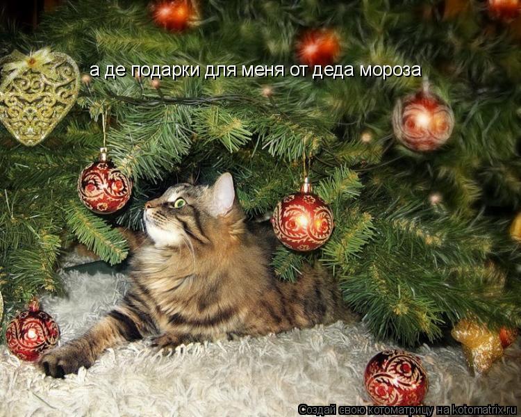 а де подарки для меня от деда мороза... Котоматрица: а де подарки для меня от деда мороза