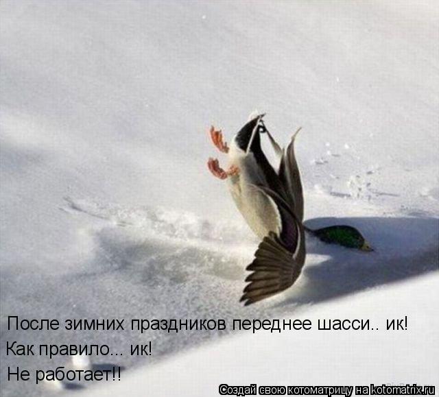 Котоматрица: После зимних праздников переднее шасси.. ик!   Как правило... ик! Не работает!!