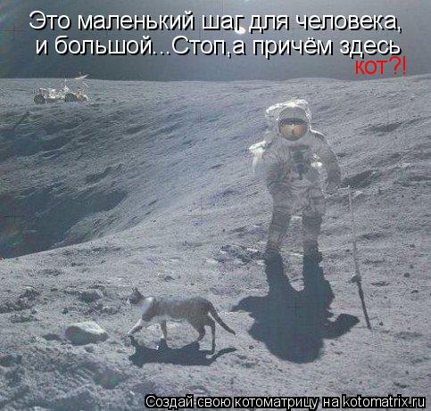 Котоматрица: Это маленький шаг для человека,  и большой...Стоп,а причём здесь кот?!