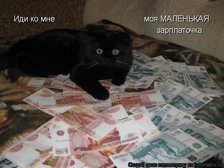 Иди ко мне моя МАЛЕНЬКАЯ зарплаточка... Котоматрица: Иди ко мне моя МАЛЕНЬКАЯ зарплаточка