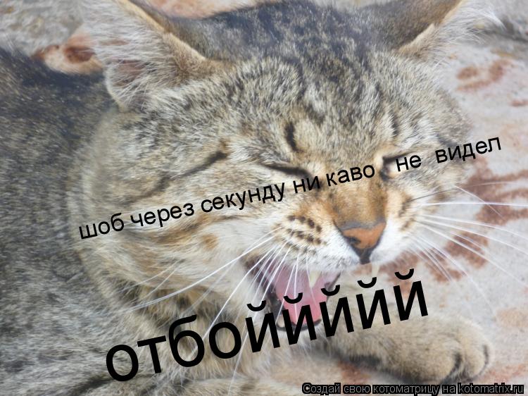 Котоматрица: отбоййййй шоб через секунду ни каво   не  видел