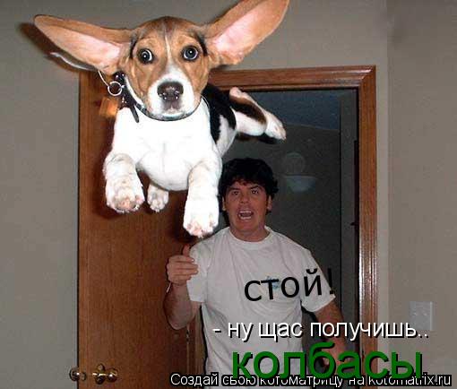 Котоматрица: - ну щас получишь.. колбасы стой!