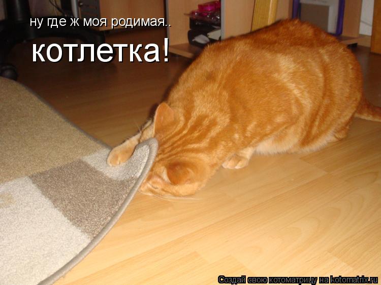 Котоматрица: ну где ж моя родимая.. котлетка!