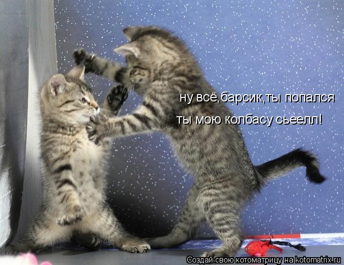 Котоматрица: ну всё,барсик,ты попался ты мою колбасу сьеелл!